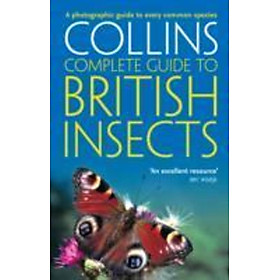 Sách - British Insects : A Photographic Guide to Every Common Species by Michael Chinery (UK edition, paperback)