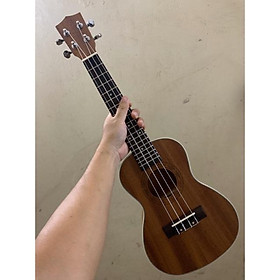 Mua ĐÀN UKULELE HOẠ TIẾT CAO CẤP