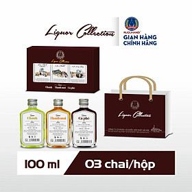 Rượu Trái cây Liquor collection HALICO nồng độ 25% chai 100ml kèm hộp