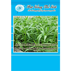 50g Hạt Giống Rau Muống Tre Thái Lan (Ipomoea aquatica)