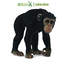 Mô hình thu nhỏ Tinh Tinh mẹ - Chimpanzee Female, hiệu CollectA