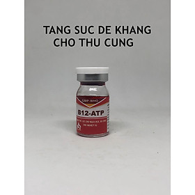 B12ATP Cho Gà Đá - Chai 5mil