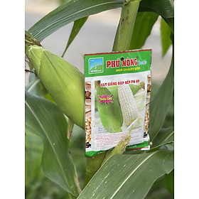 Mua Hạt bắp nếp nù PN 99 Phú Nông gói 100 gr tỷ lệ nẩy mầm cao