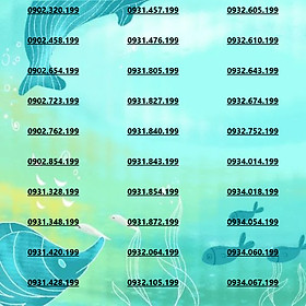 Sim Chọn Số Mobifone Đầu 09 Đuôi 99 Phong Thủy Dành Cho Đổi Vận Kinh Doanh Làm Ăn