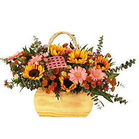Hộp hoa tươi - Hướng Dương Khoe Sắc 3955