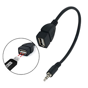 3.5 Mm AUX Audio Male Male USB Female OTG Adapter Converter Cable for Playing Music with U Disk in The Car