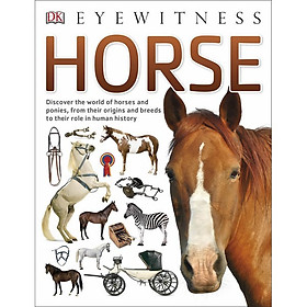Eyewitness Horse