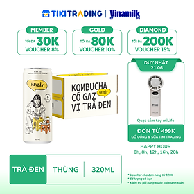 Thùng 12 lon Kombucha Có Gaz Vị Trà Đen HAYĐẤY 320ml