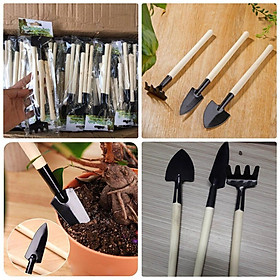 Mua Bộ dụng cụ làm vườn mini 3 món tiện dụng nhỏ gọn dễ dùng Trồng hoa  Cây cảnh  Rau củ quả sạch