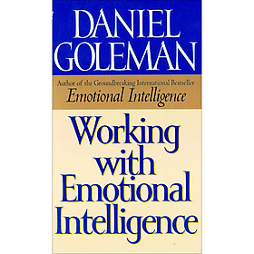Working With Emotional Intelligence