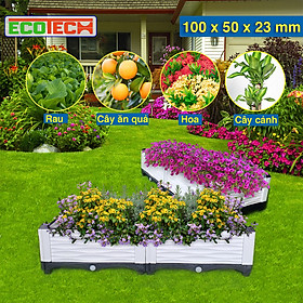 CHẬU GHÉP THÔNG MINH (100x50x23)Cm: Bền từ 8-10 năm, phù hợp mọi cây trồng và không gian, Module tùy biến kích thước, an toàn, trọng lượng nhẹ, kết cấu chắc chắn, có khay trữ và thoát nước.