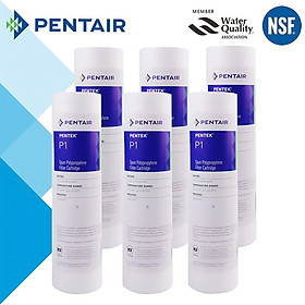 Mua LÕI LỌC THÔ PENTAIR P1