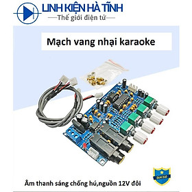 Mua Mạch tạo tiếng vang PT2399 2399 mạch echo karaoke Full phụ kiện