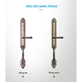 Mua Khóa cửa thông minh Kaadas 6001