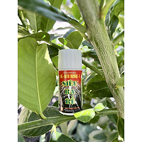Phân siêu ra rễ AE-Nito Humic 1 chai 20ml