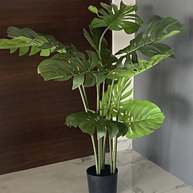 Trầu bà lá xẻ nam mỹ monstera - Cây giả trang trí VNG