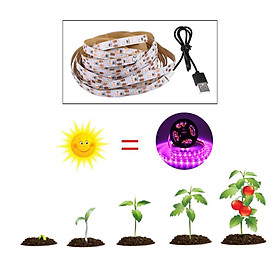 2835 SMD LED Plant Grow  Growing Lamp Greenhouse DC5V 0.5M