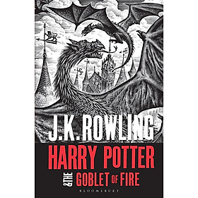 Tiểu thuyết thiếu nhiên tiếng Anh: Harry Potter and the Goblet of Fire - Adult Paperback