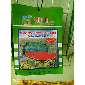 Hạt giống dưa hấu Hoàng Châu F1 2gram