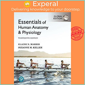 Hình ảnh Sách - Essentials of Human Anatomy & Physiology, Global Edition by Elaine Marieb (UK edition, paperback)