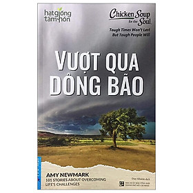 Chicken soup for the soul - hạt giống tâm hồn - vượt qua dông bão