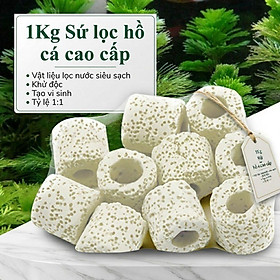 1Kg Sứ lọc hồ cá cao cấp - Vật liệu lọc nước siêu sạch, khử độc, tạo vi sinh