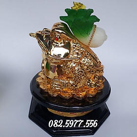 Cóc  cõng bắp cải chiêu tài lộc 24 cm- vàng