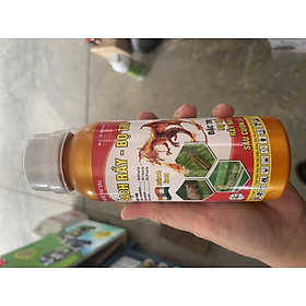 Mua thuốc trừ sâu Sạch Rầy - Bọ Trĩ Đặc trị bọ trĩ  rầy nâu  và sâu cuốn lá.