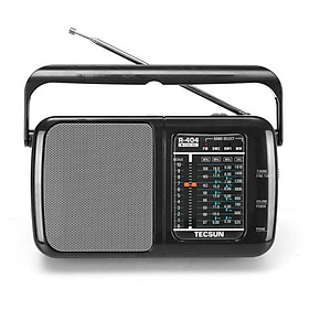 Radio Tecsun R-404 (Hàng nhập khẩu)