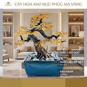Mua CÂY HOA MAI NGŨ PHÚC MẠ VÀNG