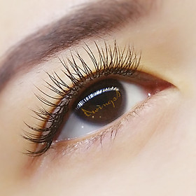 Nối Mi Cơ Bản Natural 1D và Volume 2D