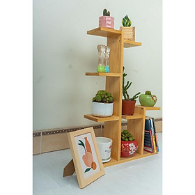 Mua Kệ gỗ để bàn đựng chậu hoa  cây cảnh sang trọng kích thước 60x40x12