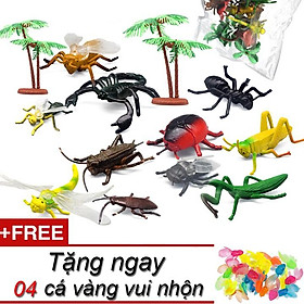 Set 12 mô hình côn trùng các loại A128 New4all Mini Wild Insect Animals World đồ chơi thế giới động vật chất liệu an toàn cho trẻ tặng kèm 04 cá vàng sinh động