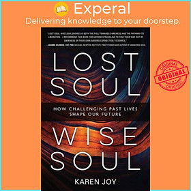 Sách - Lost Soul, Wise Soul - How Challenging Past Lives Shape Our Future by Karen Joy (UK edition, paperback)