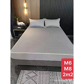 Mua CHIẾU ĐIỀU HÒA CAO SU NON (bo chun) kiểu dáng mới nhất tặng kèm 2 vỏ gối êm mát hàng hót 2021