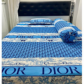 Bộ Drap Thun Lụa _Mát Lạnh {4 MÓN} ga và 3 áo gối #gagoi#drapgoi hoặc drap lẻ