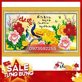 Tranh đính đá cha mẹ chim công tuyệt đẹp df310 110x50cm