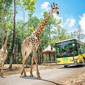Vé Tham Quan Vinpearl Safari Phú Quốc