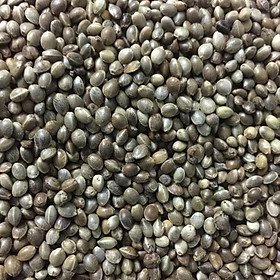 Túi 500gr láng tròn  cho thú cưng