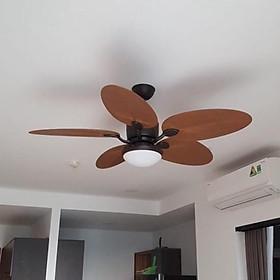 Mua Quạt trần đèn tô điểm Mr.Vũ 5 cánh thiết kế lá cọ tối tân CASA