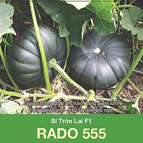 Mua hạt giống Bí tròn lai F1 555 (1g)