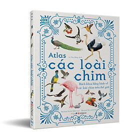 ATLAS CÁC LOÀI CHIM