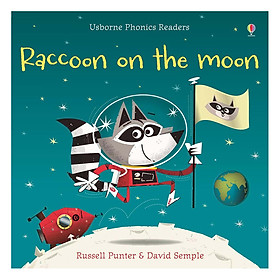 Usborne Racoon on the moon