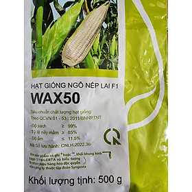 Hạt Giống Bắp Nếp lai F1 Wax 50