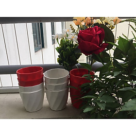 COMBO 10 CHẬU TRỒNG CÂY HOA XOẮN MINI KÍCH THƯỚC 9X9