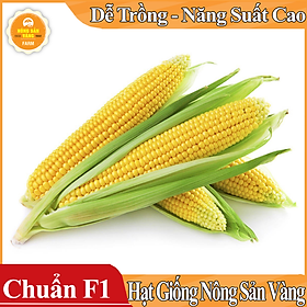 Mua Hạt giống Bắp Mỹ (Ngô Mỹ) ( Gói 10 Gram ) - Nông Sản Vàng