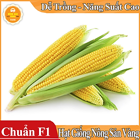 Hình ảnh Hạt giống Bắp Mỹ (Ngô Mỹ) ( Gói 10 Gram ) - Nông Sản Vàng