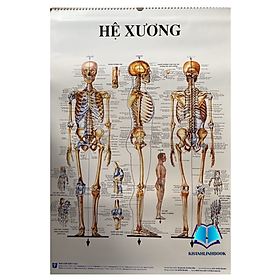 Sách - Tranh giải phẫu