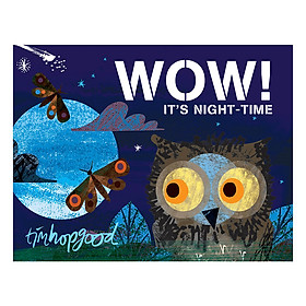 [Download Sách] WOW! It's Night-time