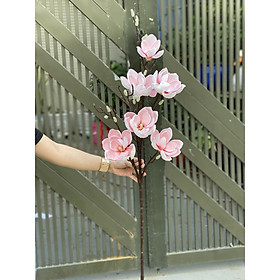 Mua Cành hoa Mộc Lan 6 bông lớn cao cấp
